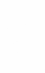 PA-LOGO-WHITE-TRANSPARANT2